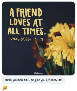 Photo of yellow flower with Proverbs 17:17 Quote "A friend loves at all times."